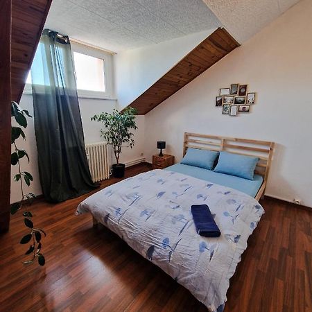 Nice Room 4 Minutes From Basel Shared Apartment Saint-Louis  Exterior photo